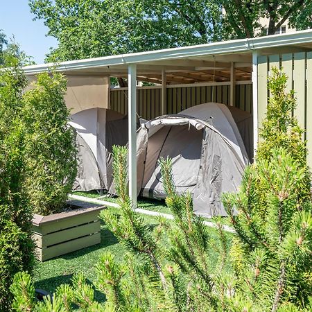 Garden Camping Tallinn Exteriér fotografie
