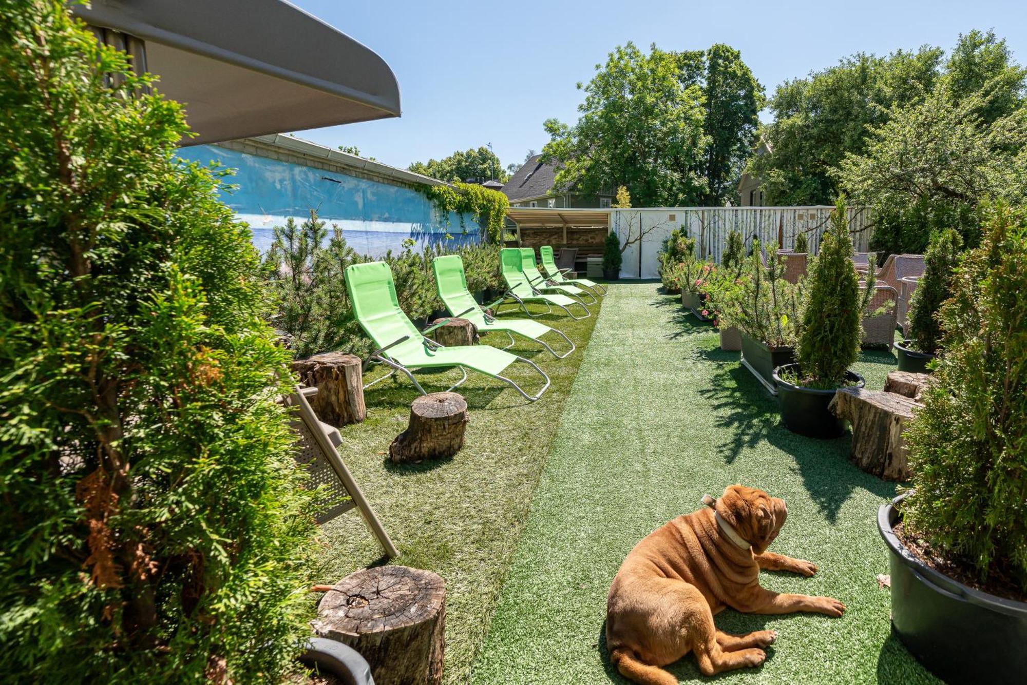 Garden Camping Tallinn Exteriér fotografie