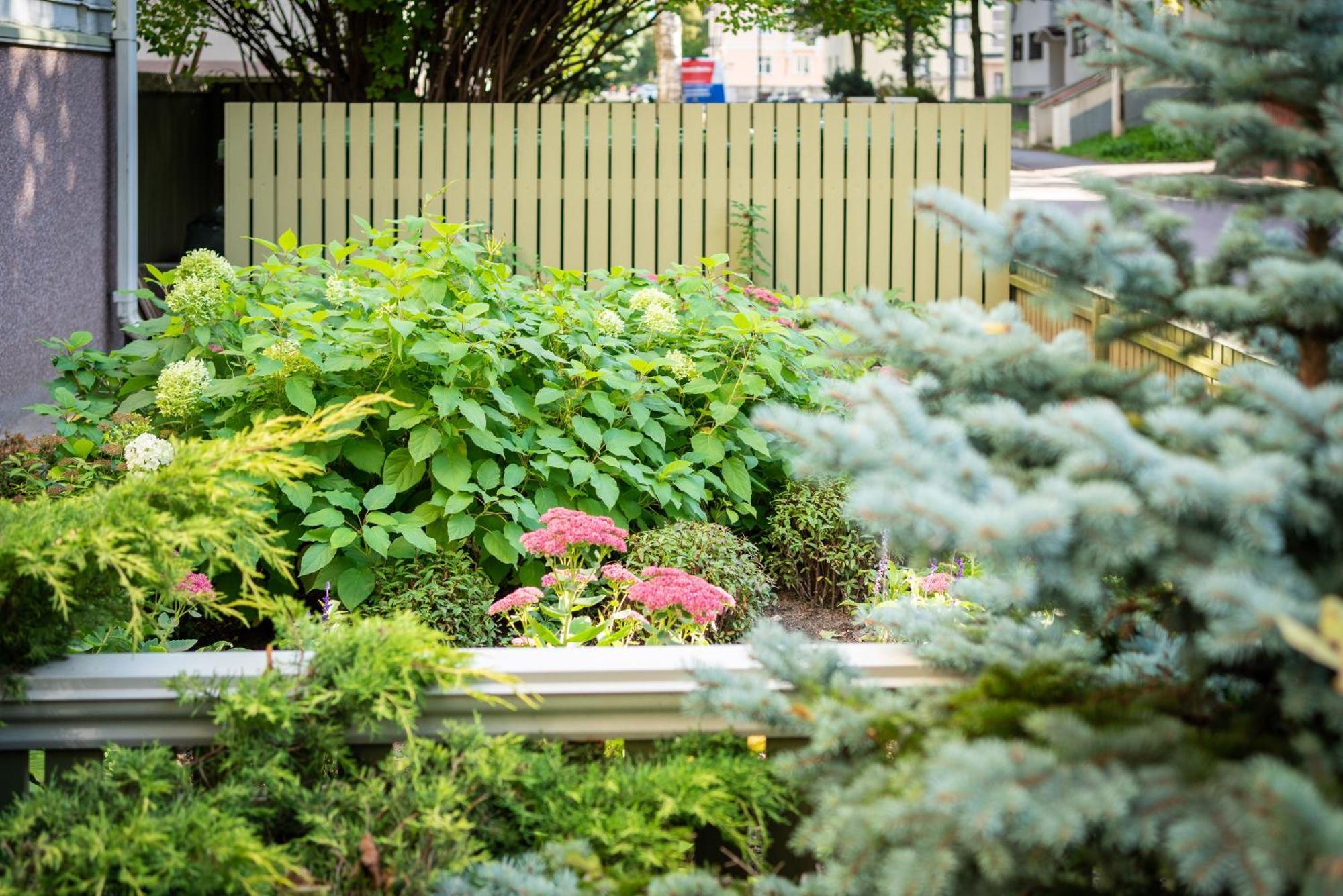 Garden Camping Tallinn Exteriér fotografie