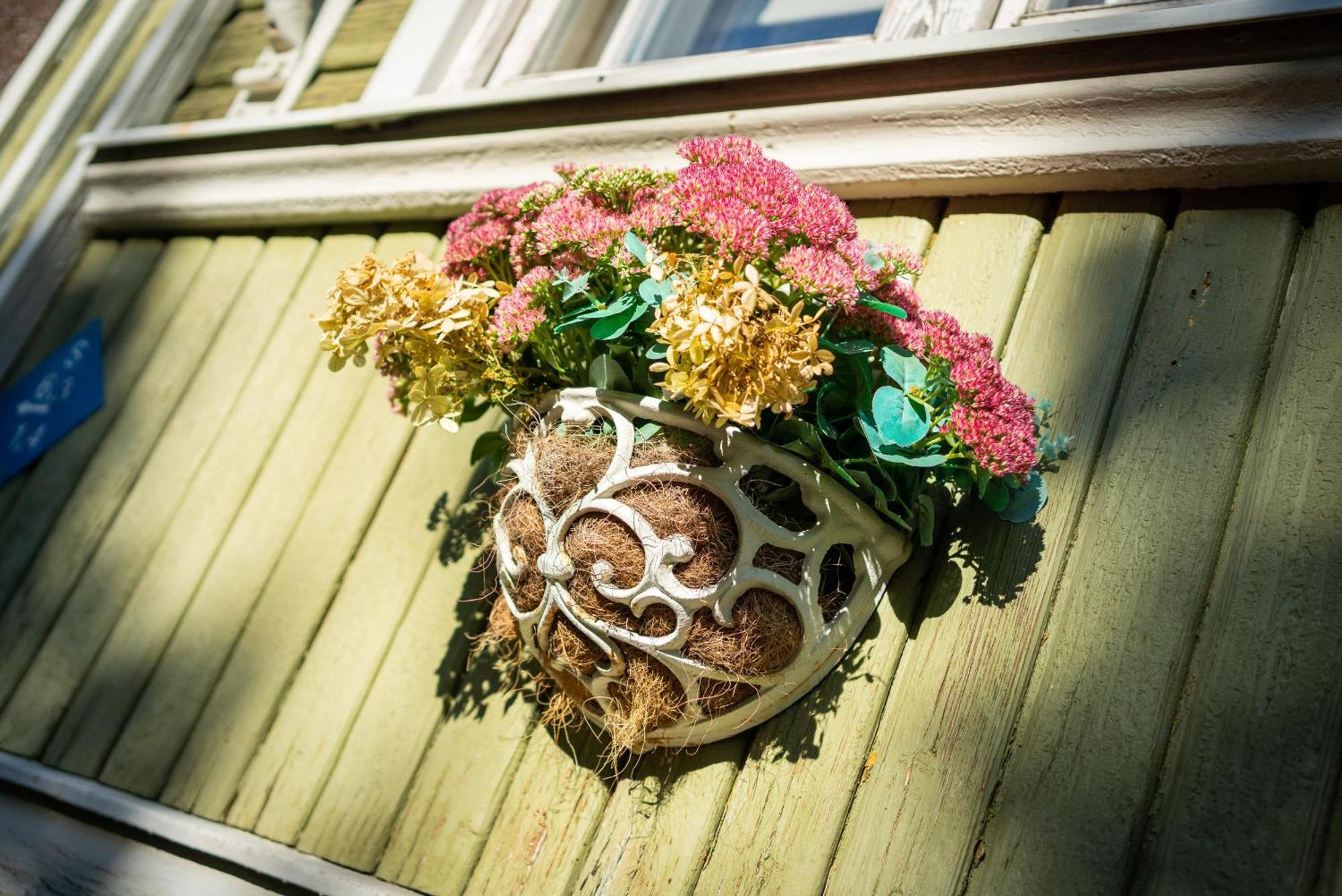 Garden Camping Tallinn Exteriér fotografie