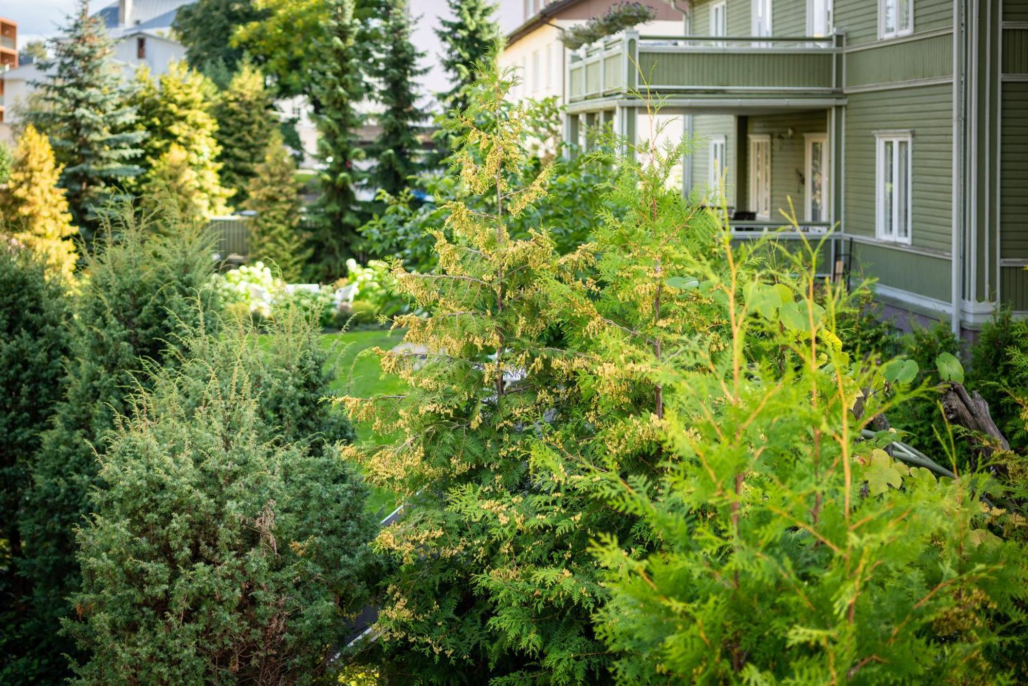 Garden Camping Tallinn Exteriér fotografie
