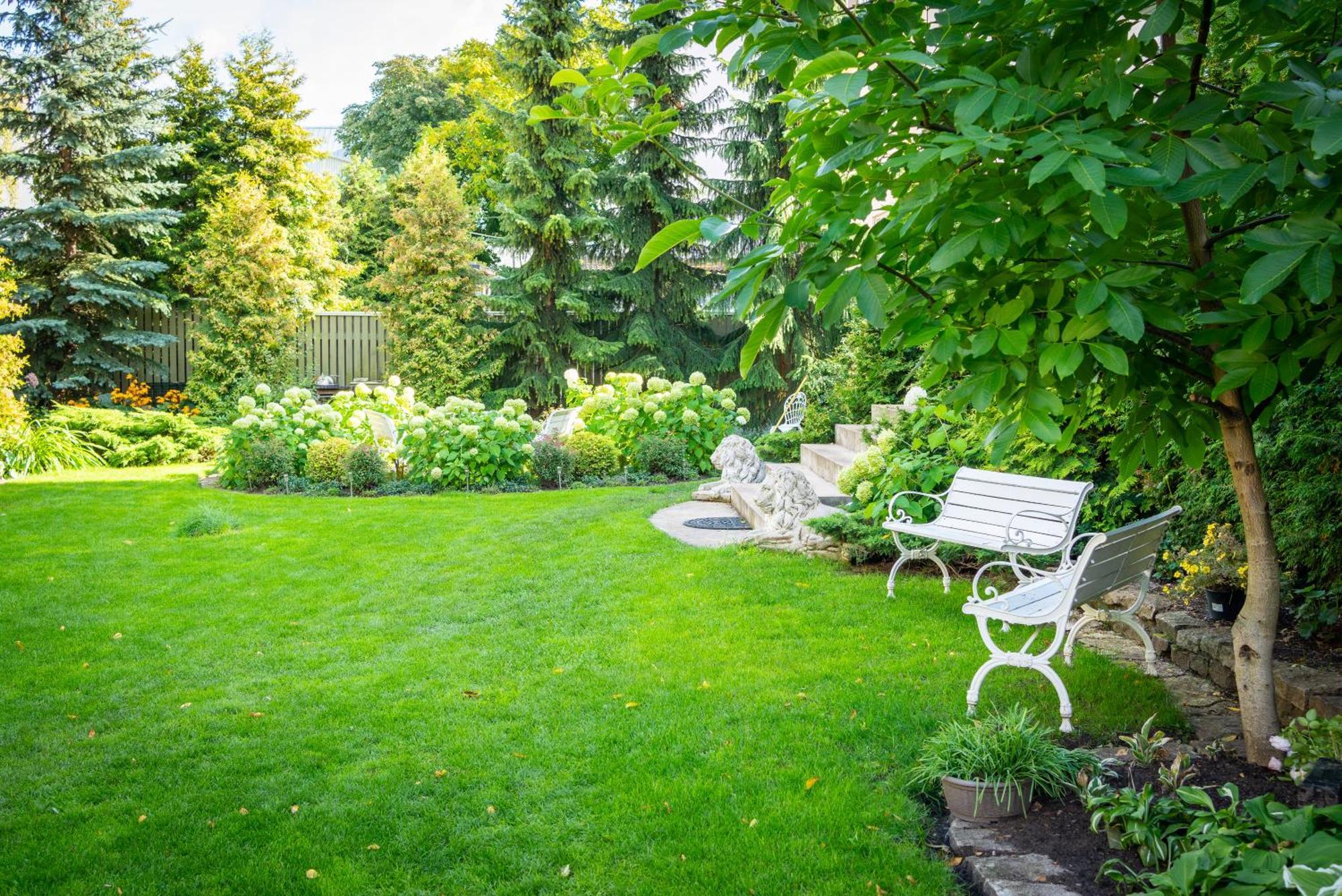 Garden Camping Tallinn Exteriér fotografie