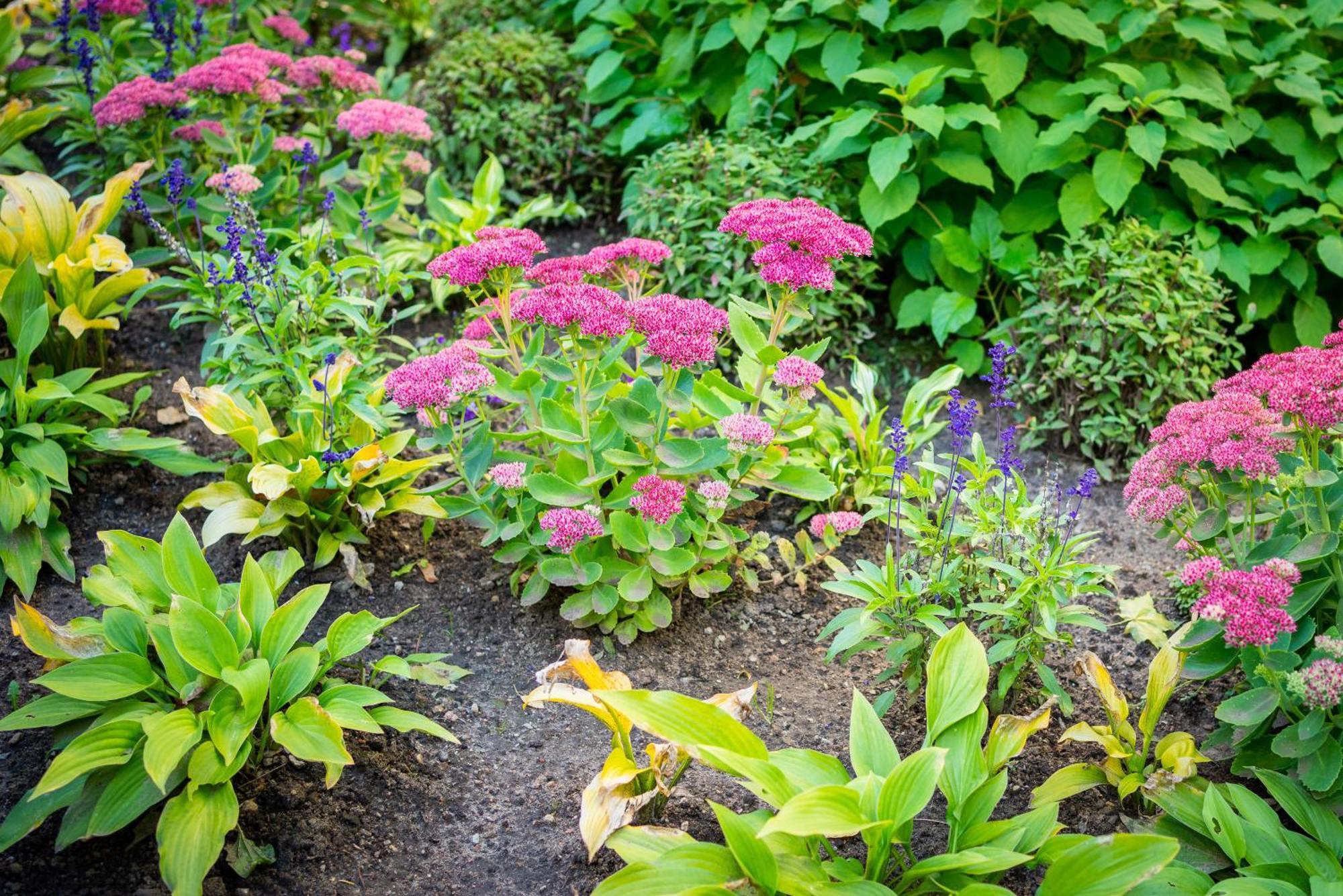 Garden Camping Tallinn Exteriér fotografie