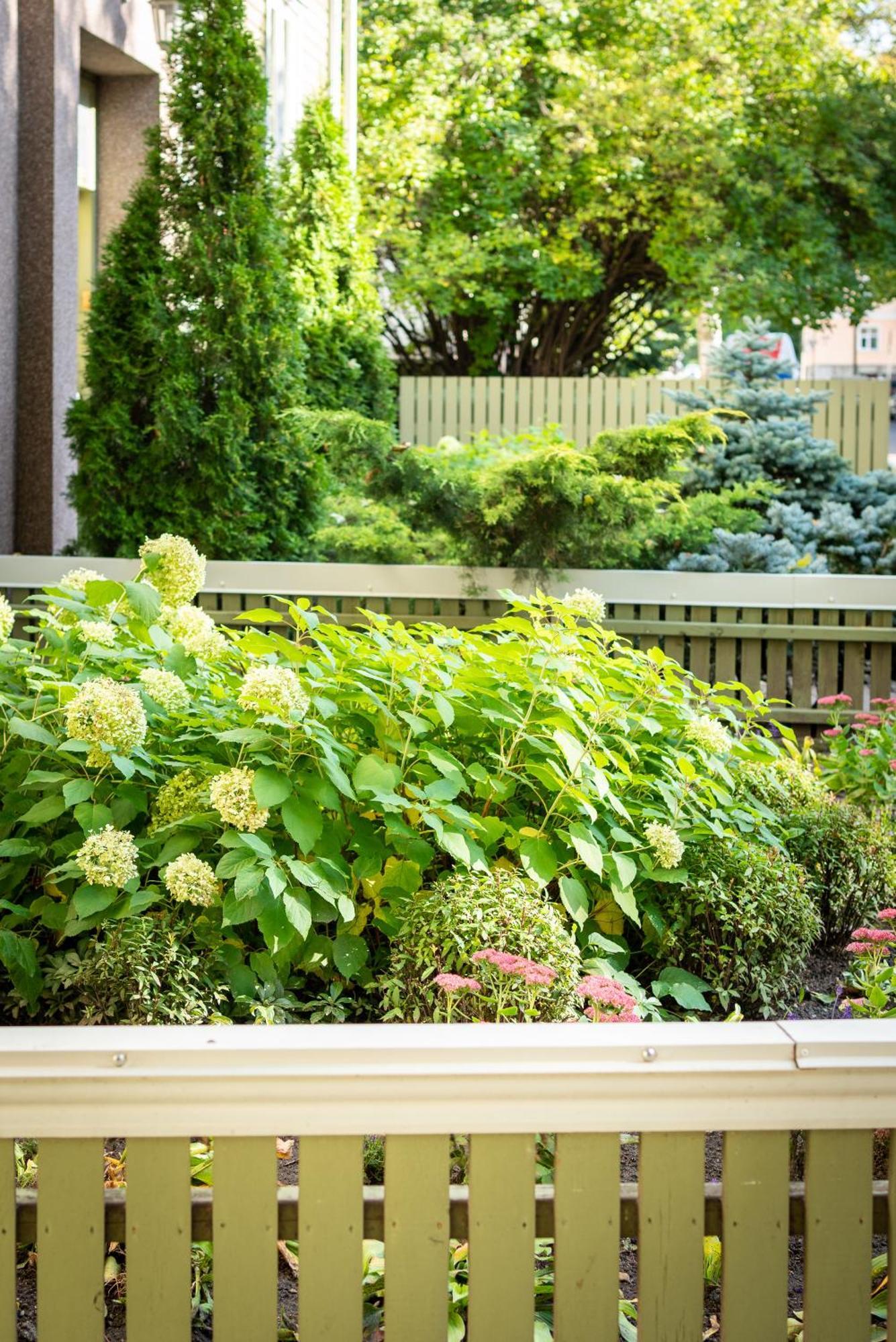 Garden Camping Tallinn Exteriér fotografie