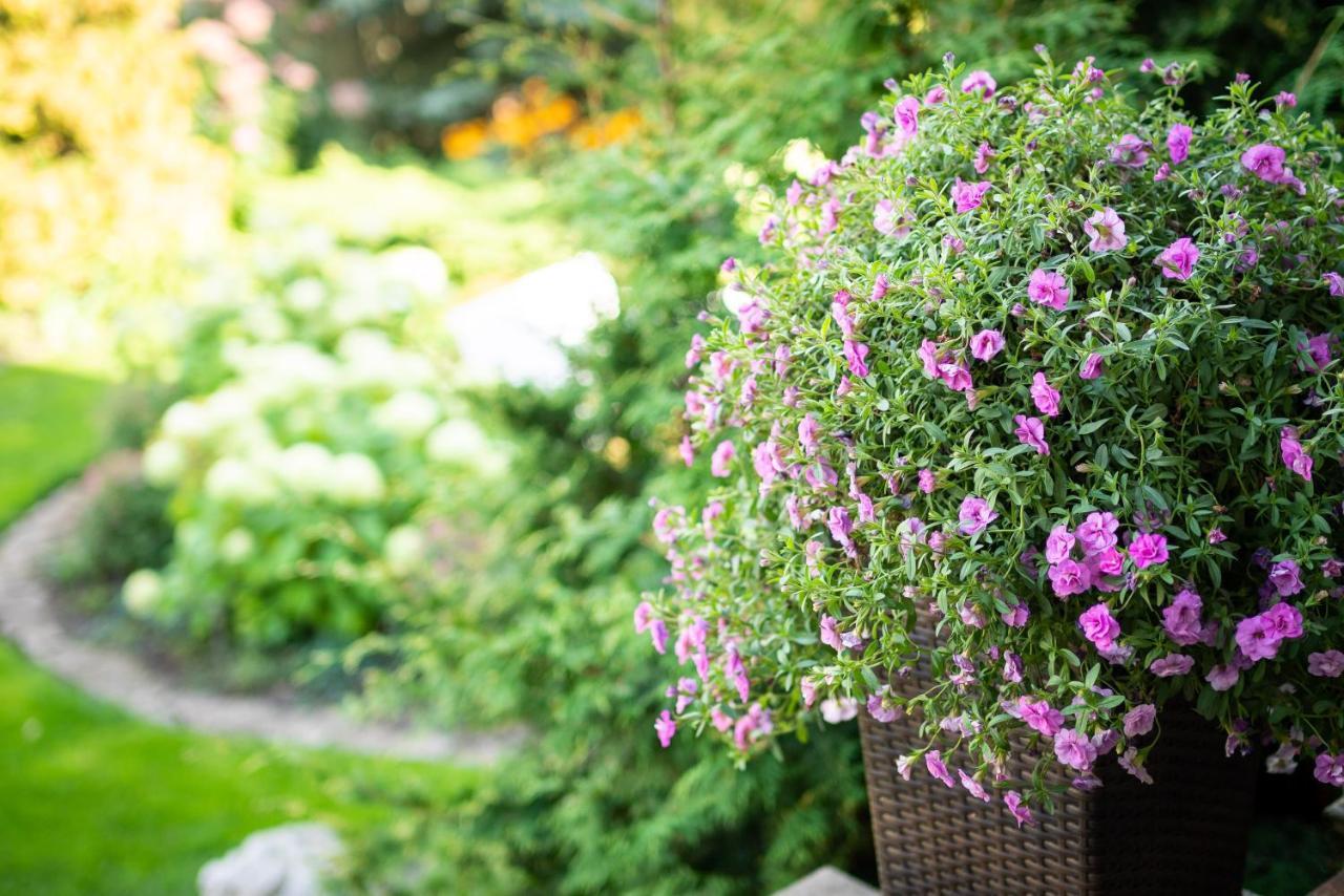 Garden Camping Tallinn Exteriér fotografie